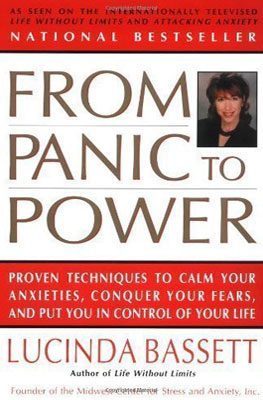 From Panic to Power original by Lucinda Bassett From Panic to Power original by Lucinda Bassett